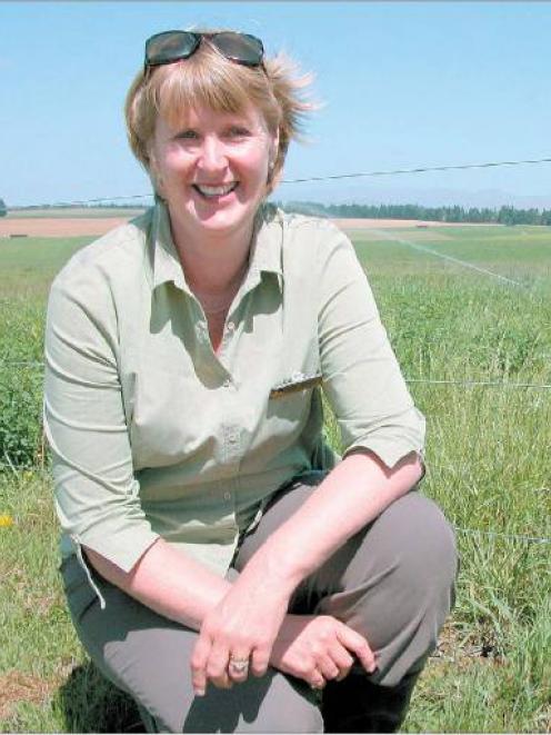 Doing the ‘‘cockie crouch’’ over here: Australian-born Susie McKeague looks over an irrigated...