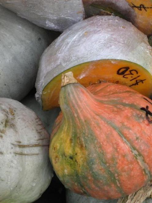 Pumpkin is the base for many heart-warming winter dishes.  Photo by Charmian Smith.