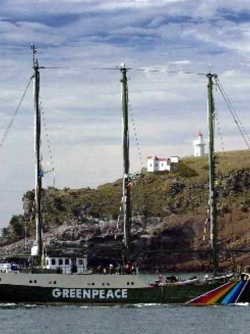 The Rainbow Warrior passes Taiaroa Head as it enters Otago Harbour.  Photo by Gerard O'Brien