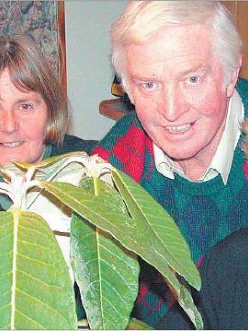 Hard working team: Rhododendron lovers (from left) Rosie Morten , Bernie O’Keefe and Joy O’Keefe...