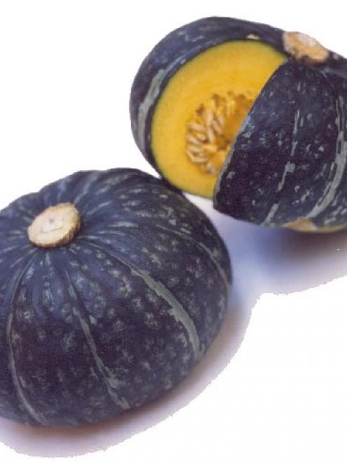 Squash.JPG
