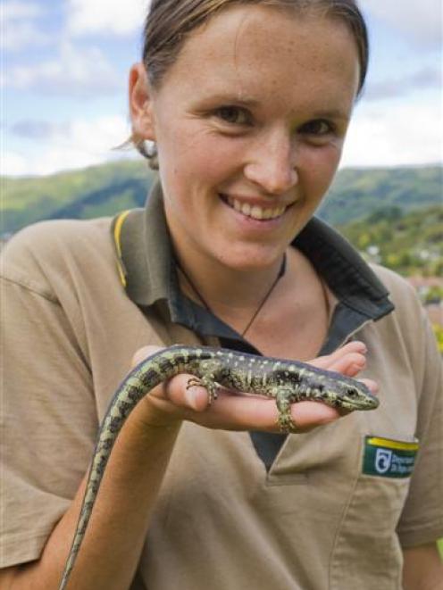 Grand and Otago skink ranger Lesley Judd with an Otago skink. Photo by Dr James Reardon.
