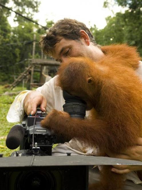 Queenstown-based cameraman Alex Hubert assists Ruby watch images of orangutans. Photo from...