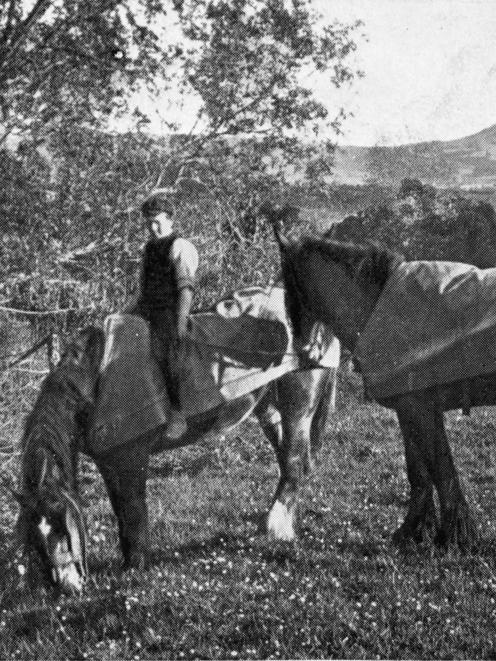''After work'': a farm scene at Waitati, Otago. - Otago Witness, 4.8.1915. COPIES OF PICTURE...
