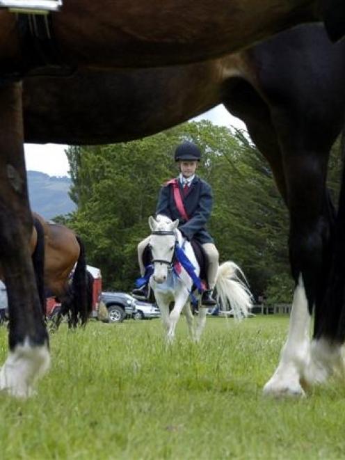 "C" section reserve champion Jacob Granger (10) and Bailley pass behind horses waiting to compete...