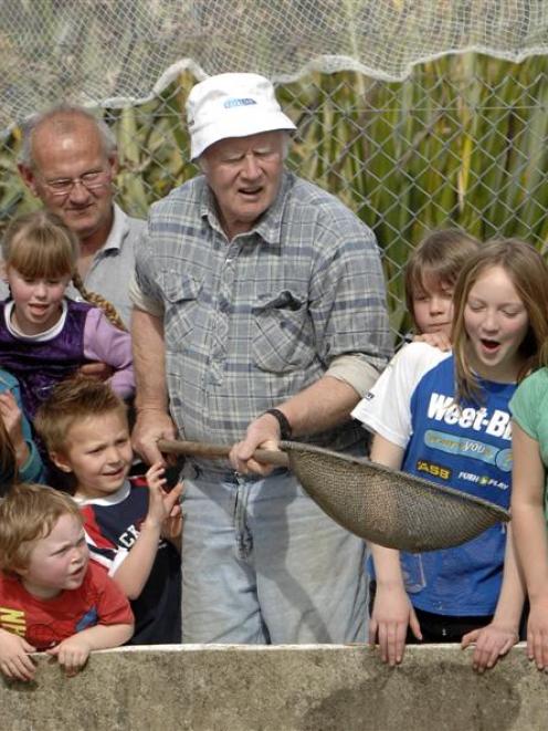 Checking out smolt at the Dunedin Community Salmon Hatchery in Sawyers Bay yesterday are Sawyers...