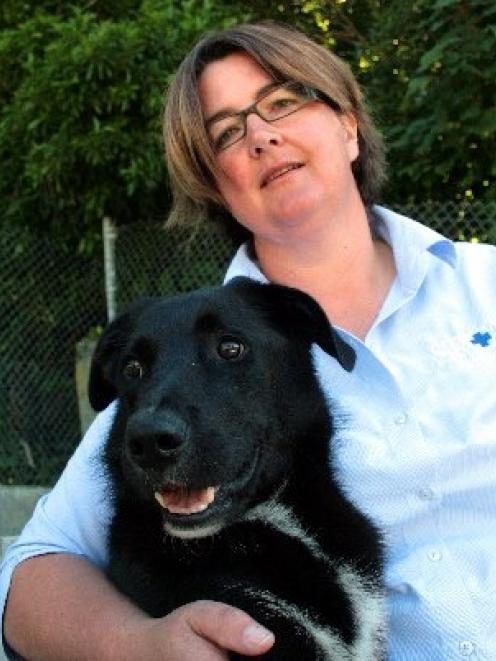 Dog days . . . Dunedin's dogs are better off, with three organisations looking out for them. SPCA...