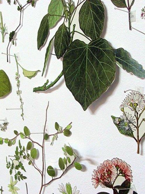 <i>PODOCARPACEAE/Dacrycarpus - PANDANACEAE/Freycinetia (detail),</i> by Gabrielle Amodeo