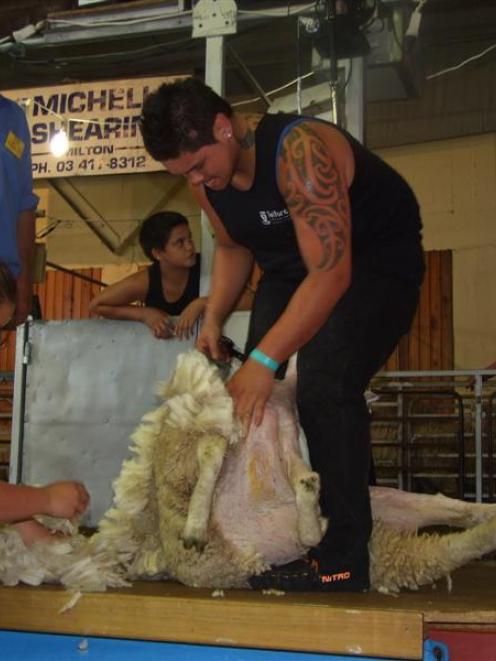 Kahn Culshaw, of Ashburton, on his way to winning the Otago junior shearing title in Balclutha...