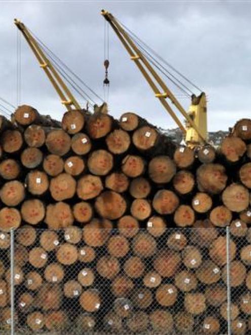 Log prices  have risen in the past month. Photo by Gerard O'Brien.