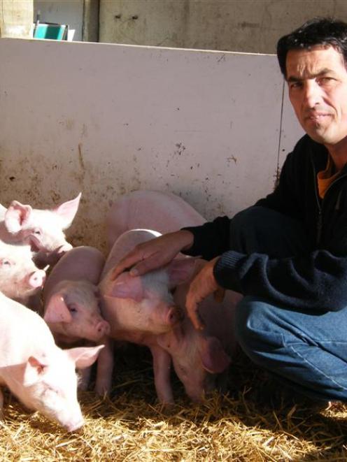 New Zealand Pork Industry Board chairman Ian Carter says although there are fewer pig farmers,...