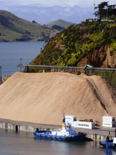 The estimated 25,000 tonnes of wood chips which have been stockpiling on Port Otago's Beach St...