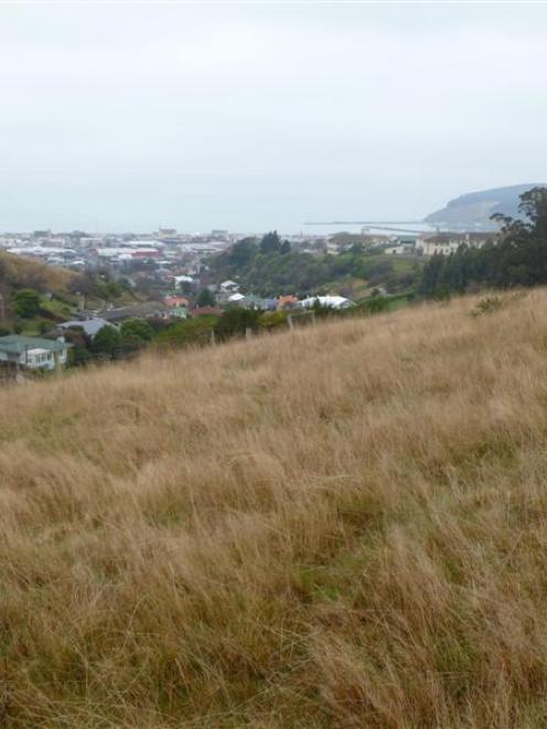 A 2013 photo of part of hospital hill at Oamaru where a retirement village may be built. The...