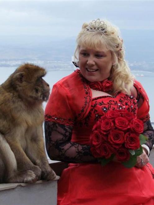 A Barbary ape joins a bride on top of the Rock. Photos by Gillian Vine.