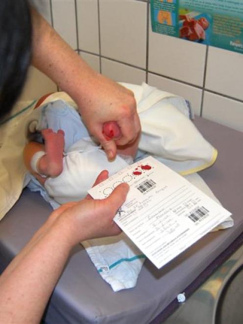 A blood sample is taken from a newborn by the neonatal heel prick. Photo from Wikimedia Commons.