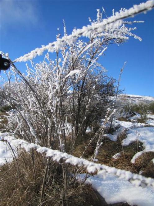 A burst of mid-afternoon sun yesterday made no difference to ice (right) on fence wires at the...