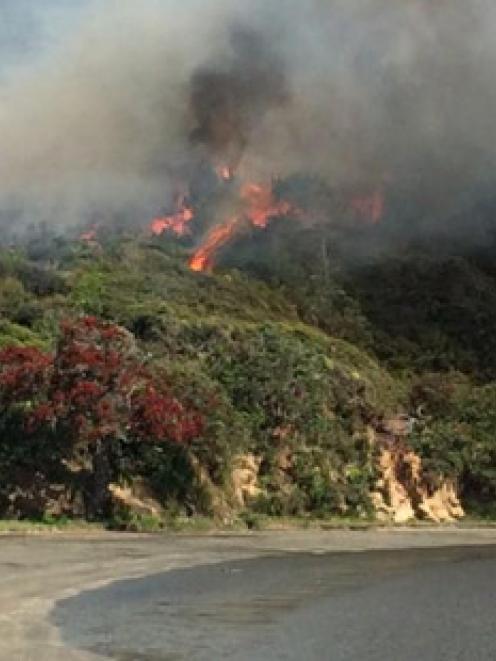 A bushfire at Cornwallis West Coast of Auckland. Photo / supplied via Twitter / Nigel Gangitano