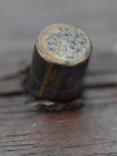 A bullet was found embedded in the deck of a Mosgiel property.