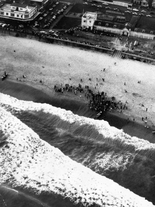 A crowd gathers on the beach at St Clair following the fatal shark attack on Les Jordan.