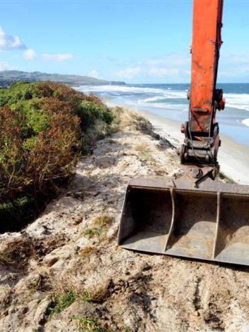 A digger works on top of the sand dunes at Middle Beach. Photo by Stephen Jaquiery.