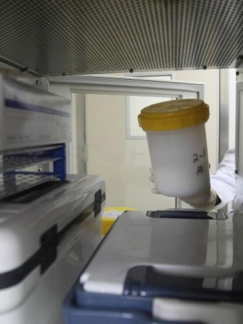A doctor handles a blood sample of a 67-year-old patient suffering from the H7N9 bird flu strain...