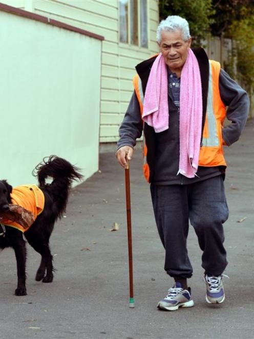 A familiar sight in  Sunnyvale  was  Ngatikahu McGee walking his two brightly-clad dogs Bemo  ...