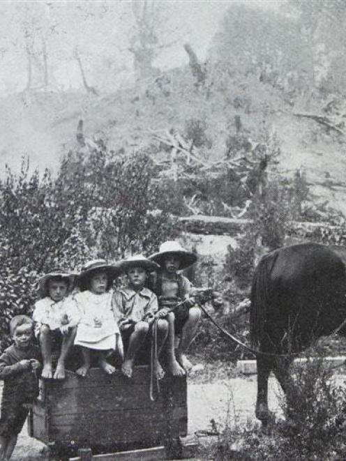 A family carriage in the back-blocks of the North Island. - Otago Witness, 20.10.1909.