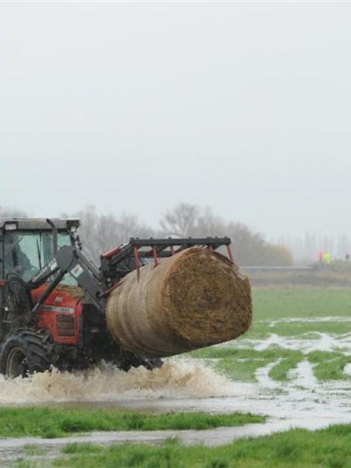 A farmer moves a bale of hay on the Taieri yesterday. Photos by Stephen Jaquiery/Otago Regional...