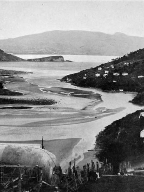 A favourite coastal resort, about 12 miles north of Dunedin, Purakanui Inlet. - Otago Witness,  1...