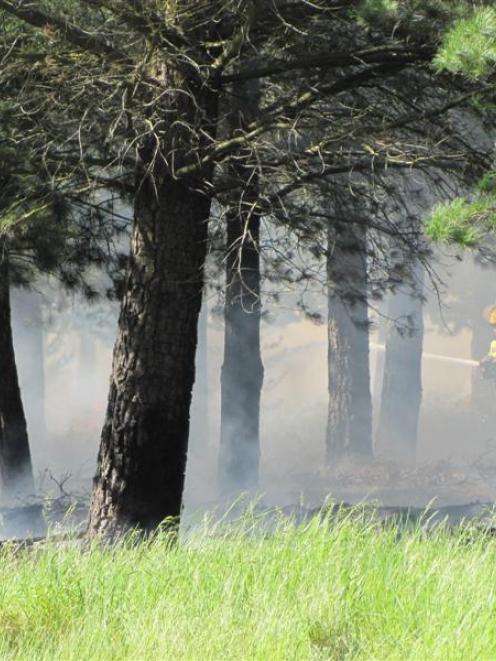 A firefighter tackles one of fires in the Pines reserve north of Alexandra yesterday. Photo by...