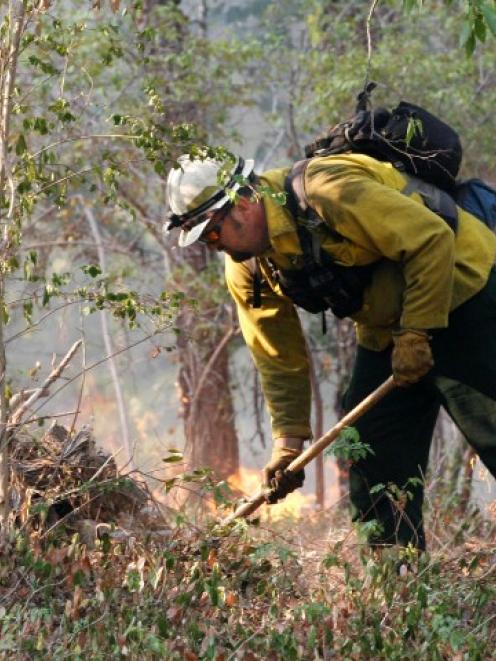 A forestry worker conducts a controlled burn to seal off a wildfire's path as it approaches a...
