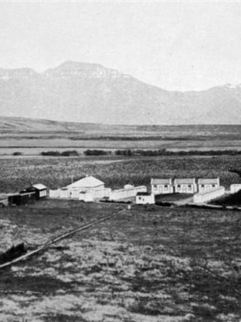 A general view of Hanmer Springs tree-planting prison camp, showing a portion of the plantation...