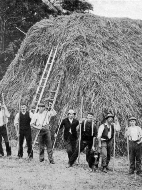 A group of harvesters with their pitchforks stand by a stack on the Otago Peninsula. - Otago...