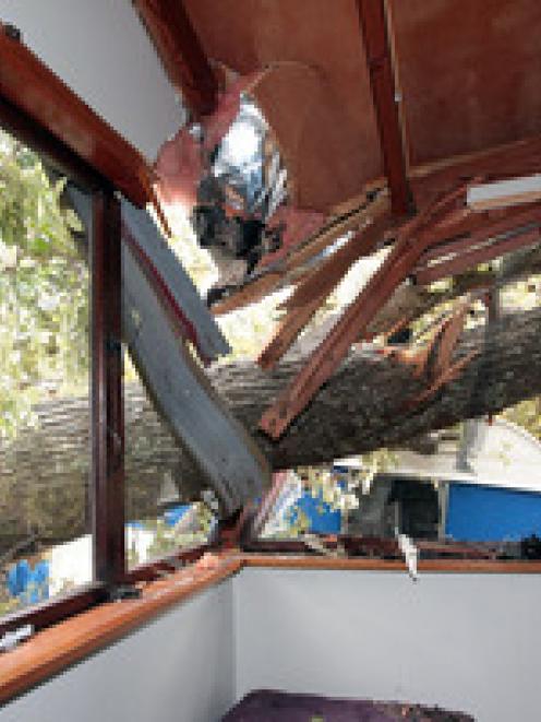 A large tree smashed into a teen's bedroom on Onewa Rd, Birkenhead. Photo / Doug Sherring