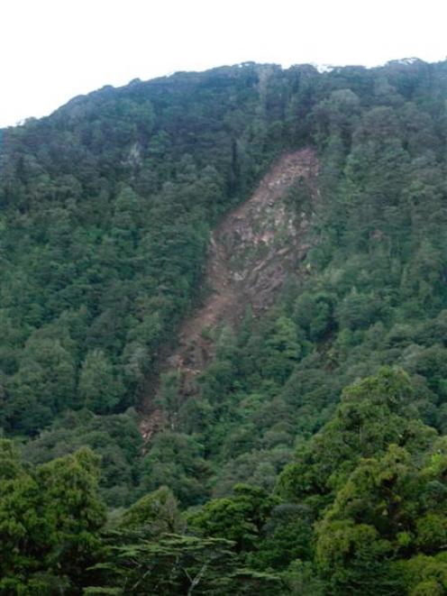 A massive slip caused by the earthquake scars the hillside at Cormorant Cove. Photo by Charmian...