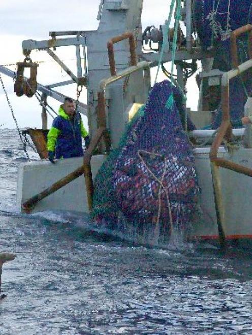A net is hauled aboard the deep-sea trawler Corsair in international waters in the Tasman Sea....