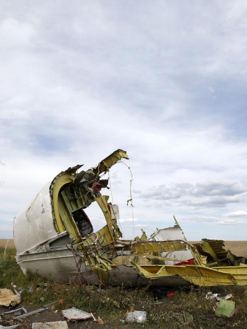 A part of the wreckage is seen at the crash site of the Malaysia Airlines Flight MH17 near the...