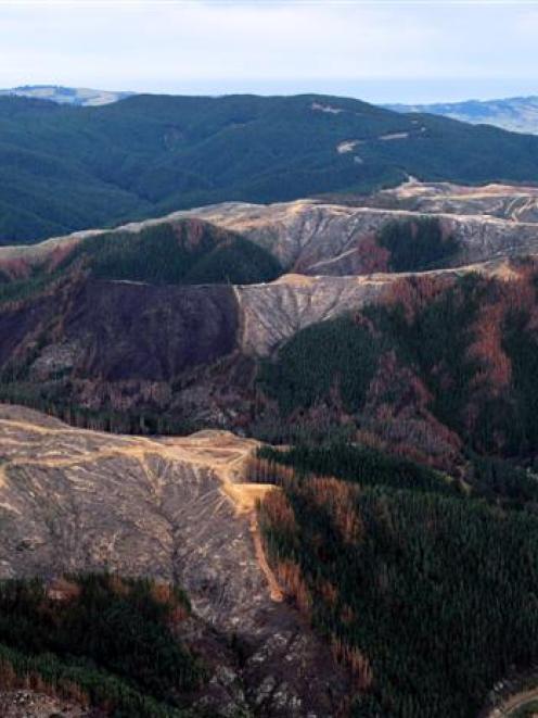 A photograph taken yesterday of the view towards Saddle Hill (top right) of the site of a major...