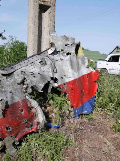 A piece of the wreckage is seen at a crash site of the Malaysia Airlines Flight MH17 in the...