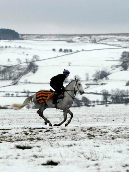 A racehorse is taken out for an early morning ride in Middleham, northern England. REUTERS/Nigel...