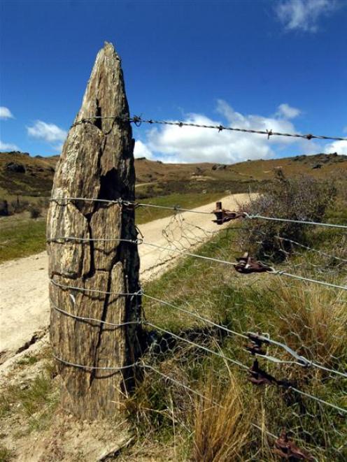 A schist fencepost on the Old Dunstan Rd.  Photo by Gerard O'Brien.