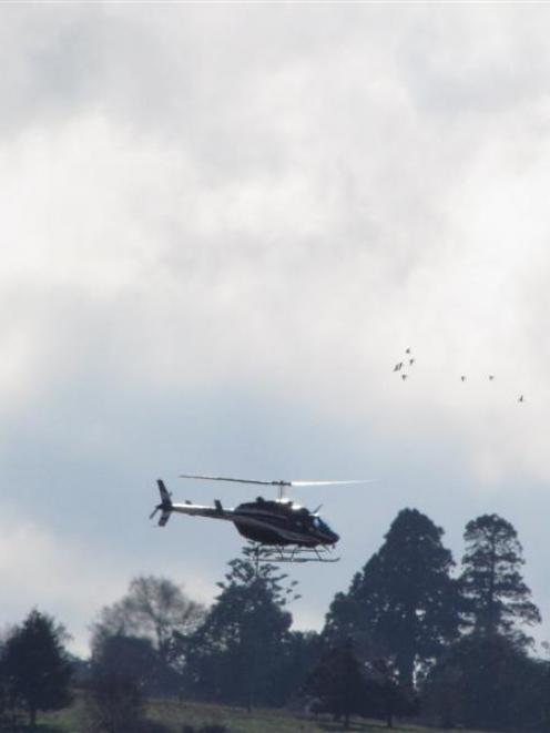 A search and rescue helicopter takes to the air over Oamaru to look  for a man missing since...