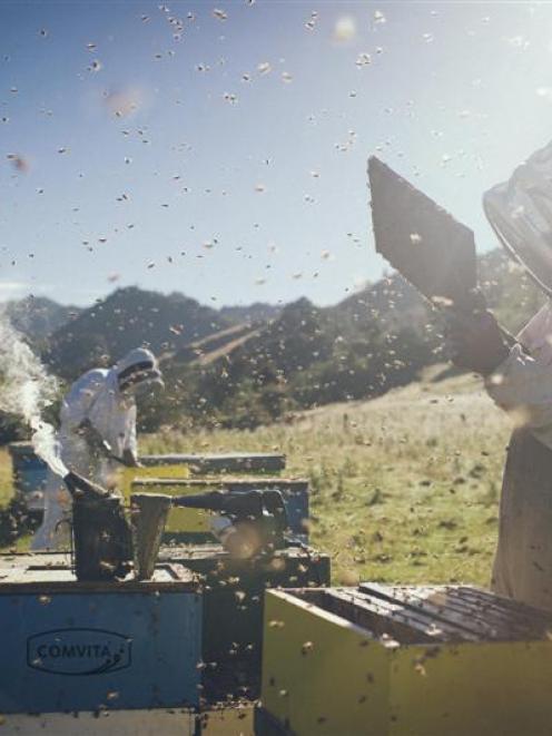 A secure honey supply helps Comvita's bottom-line. Photo supplied.