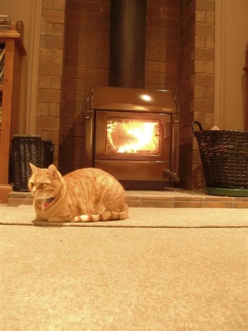 A snug home. Photo by Louise Framtpon.