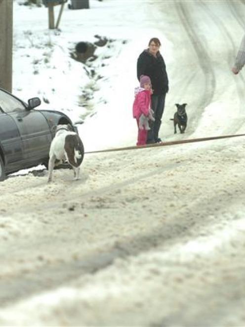 A stranded motorist gets a tow on the Flagstaff-Whare Road. Photo by Peter McIntosh.