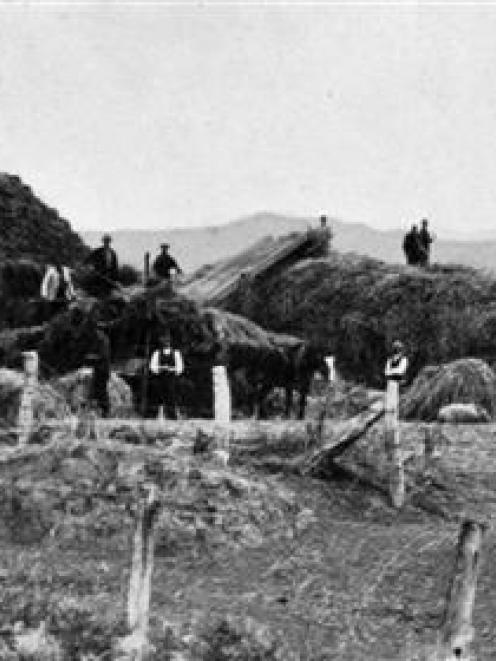 A threshing mill at work at Merton. - Otago Witness, 8.5.1912.