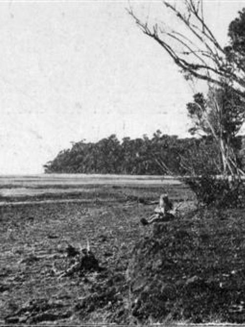 A view near the mouth of the Tahakopa River, from Papatowai settlement, Catlins River District. -...