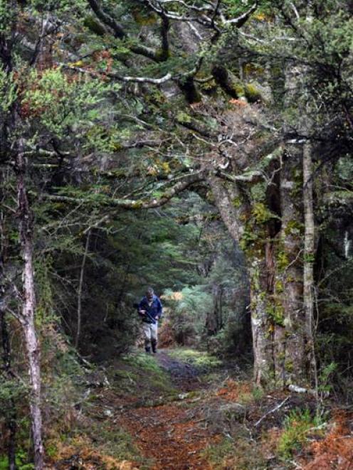 A walk in Fiordlan National Park. Photo by Emily Cannan.