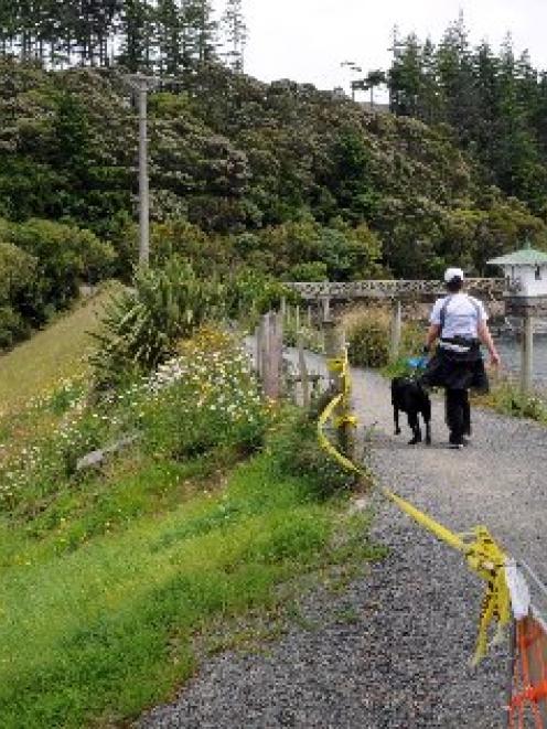 A walker and their dog enjoy a stroll along the top of the Ross Creek reservoir embankment in...