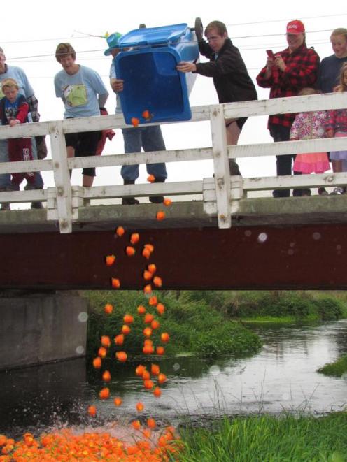 About 450 plastic fish are tipped into the Waikakahi Stream on Saturday by Ethan Griffin (right)...
